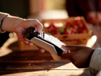 Contactless Card: The Essential Guide (2026)