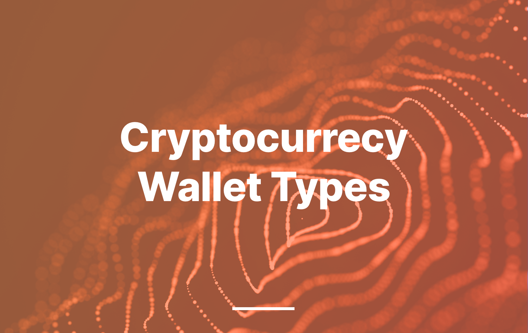 Cryptocurrecy wallet types