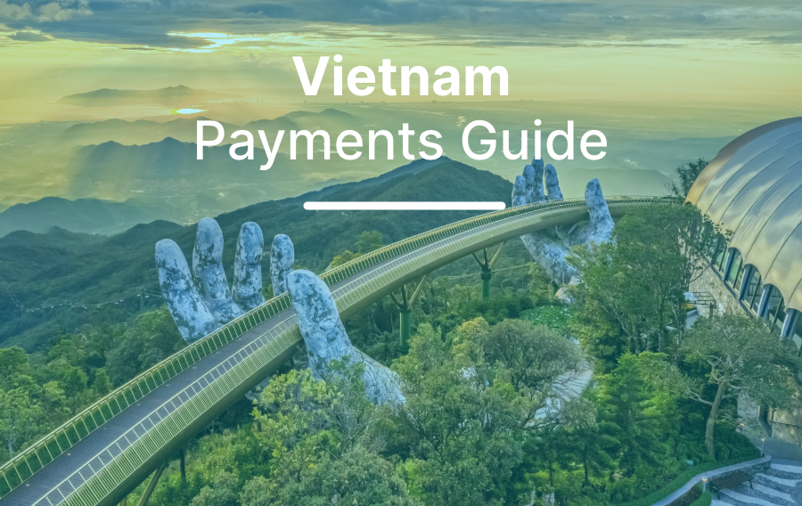 Vietnam payments guide