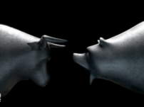 What Is a Bull or Bear Market?