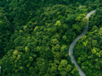 Features of Blockchain and Sustainability