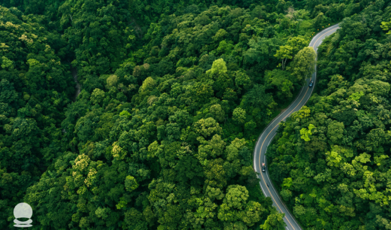 Features-of-Blockchain-and-Sustainability
