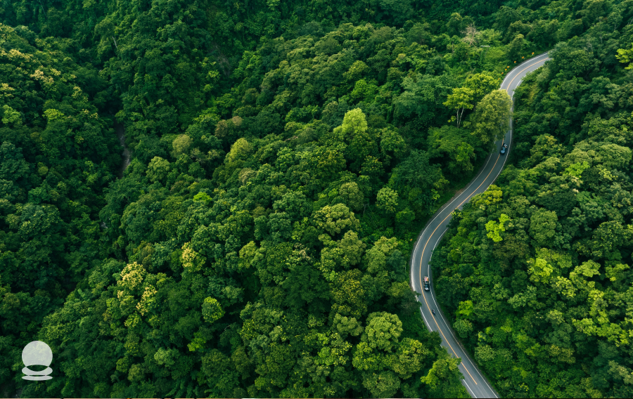 Features-of-Blockchain-and-Sustainability