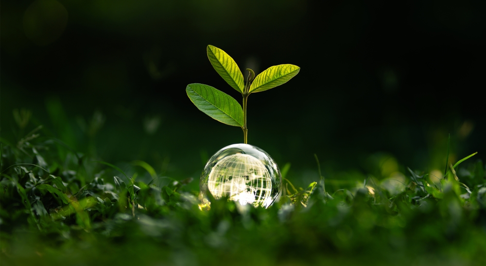 blockchain-and-sustainability
