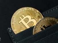 Altcoins vs. Stablecoins: Key Differences