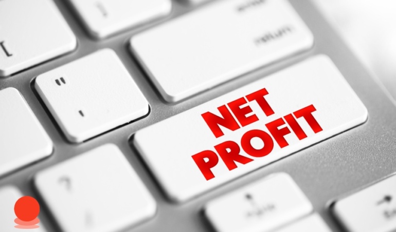 Net-Profit-Detailed-Guide