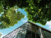 The Environmental Impact of Digital Payments and Blockchain