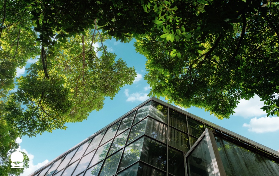 Environmental-Impact-of-Digital-Payments-BlockchainEnvironmental-Impact-of-Digital-Payments-Blockchain